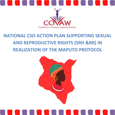 National CSO Action Plan 15th Jan 2024