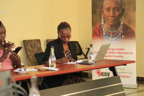 Capacity Building for local dialogue Facilitators on participatory community engagement with a focus on older persons, 16 September 2025