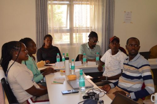 ALM - AILEPU (Grantee Capacity Building Training)
