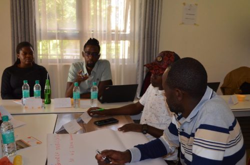 ALM - AILEPU (Grantee Capacity Building Training)