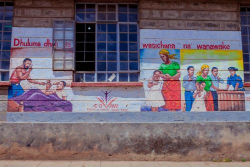 COVAW AWDF Project Documentary