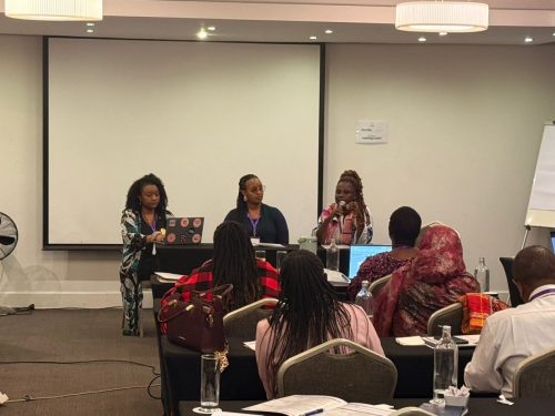 End FGM Africa Network Meeting in South Africa - Oct 27, 2025