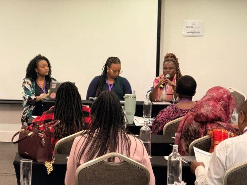 End FGM Africa Network Meeting in South Africa - Oct 27, 2025