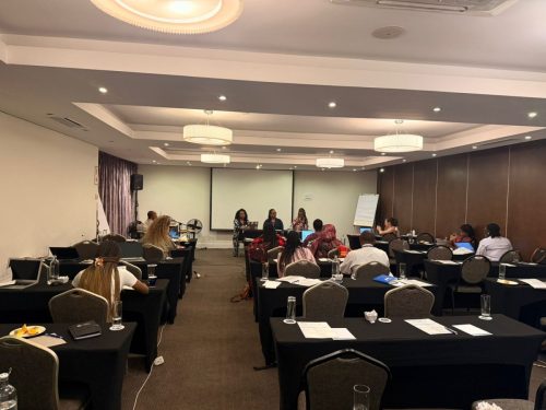 End FGM Africa Network Meeting in South Africa - Oct 27, 2025