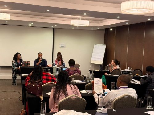 End FGM Africa Network Meeting in South Africa - Oct 27, 2025
